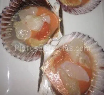 Carpaccio de vieiras – taberna giron