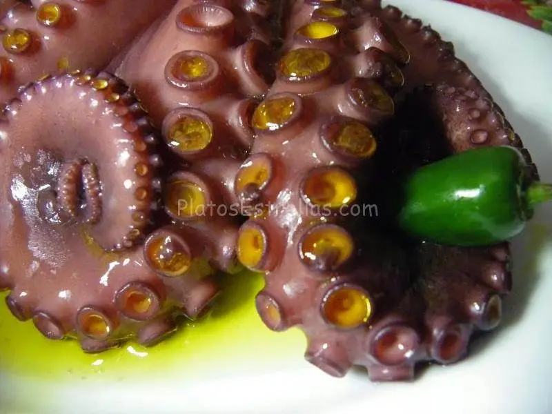 Pulpo guisado