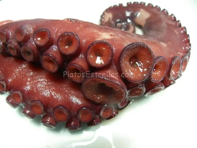 Pulpo guisado – La Pimienta