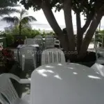 Calamares fritos Saharianos en Altagay – Punta del Hidalgo, mejor con las pinzas de plata