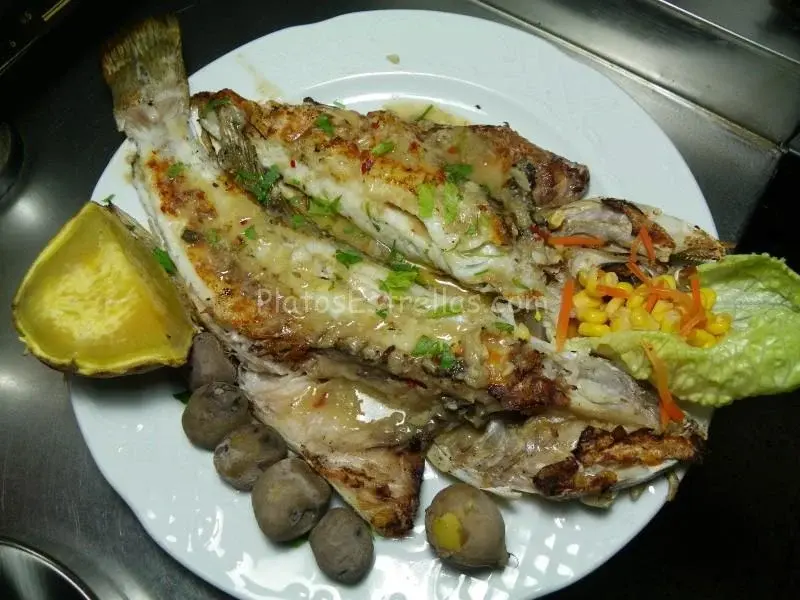 Abadejo a la espalda – El Tunel