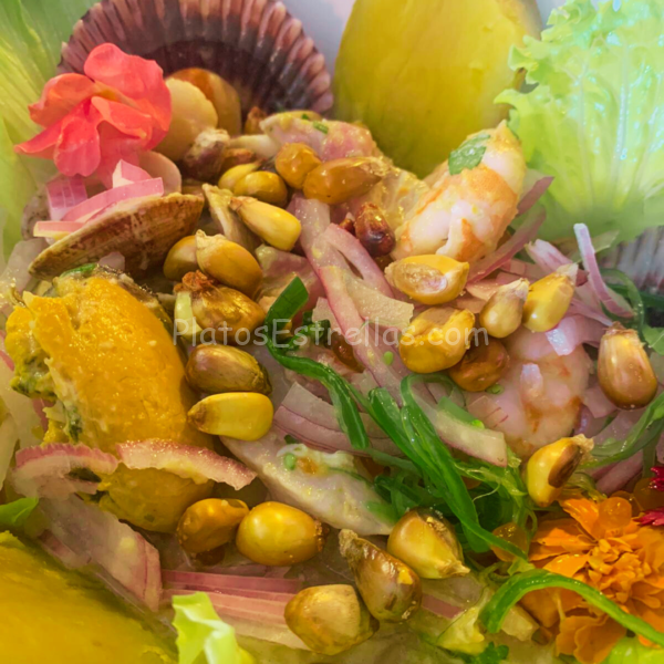 Ceviche Mixto Restaurante El Pulpete Santa Cruz de Tenerife