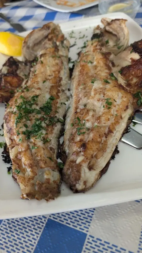 Marisquería La Gaviota, Cherne a la plancha, San Miguel de Tajao – Tenerife_platos estrella