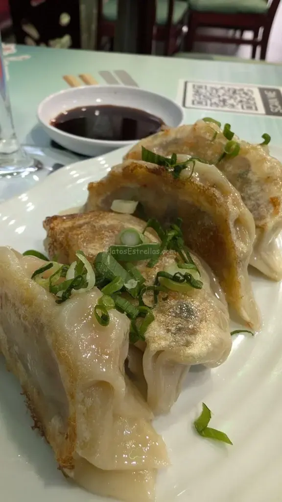 Restaurante Dareshasu Gyoza Vegetal Santa Cruz de Tenerife_platos estrella