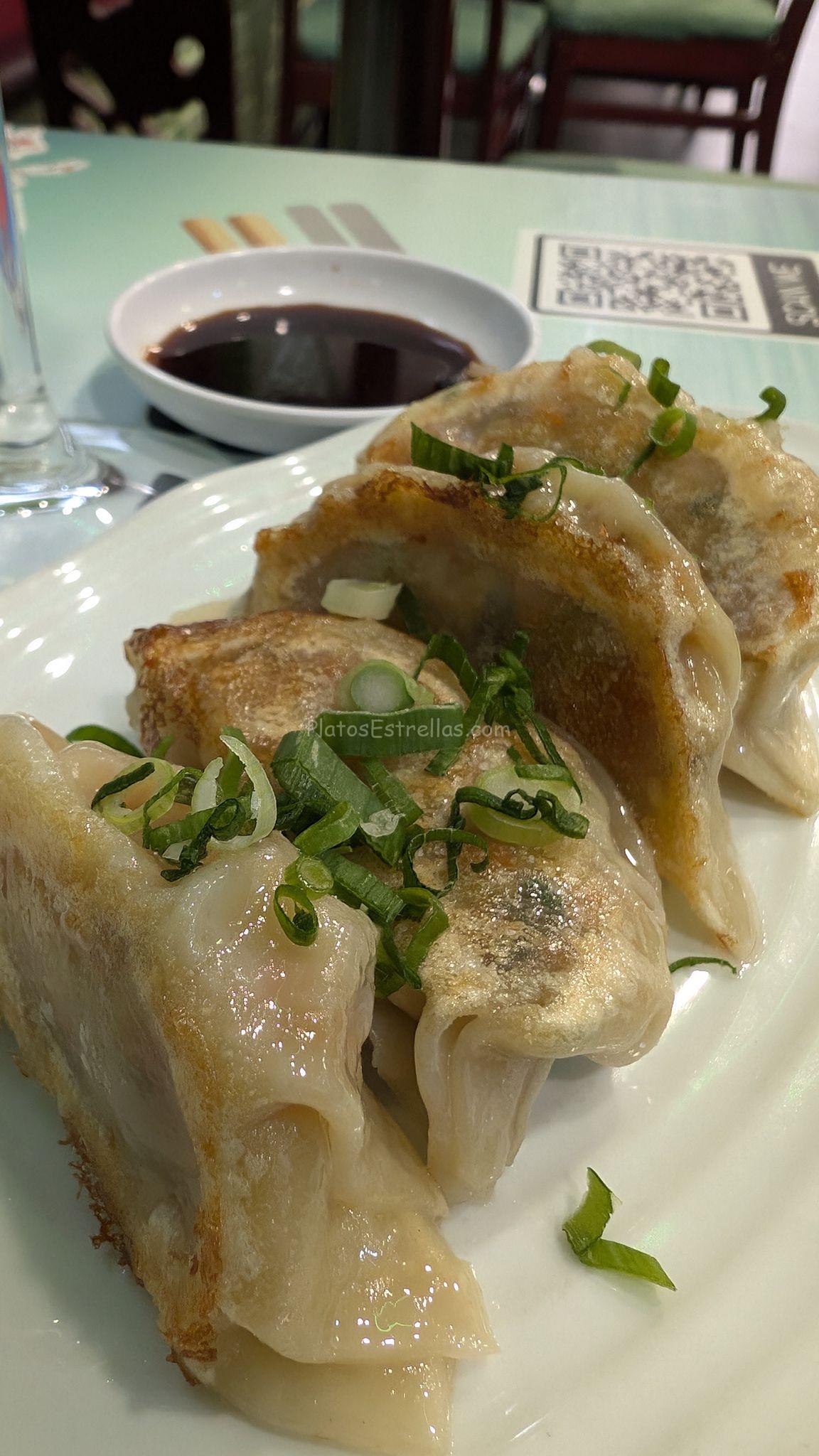 Restaurante Dareshasu Gyoza Vegetal Santa Cruz de Tenerife_platos estrella Restaurante Dareshasu Gyoza Vegetal Santa Cruz de Tenerife_platos estrella